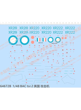 飞机模型 1:48 BAC TSR.2 攻击机(通用标志).专用水贴【64672B】