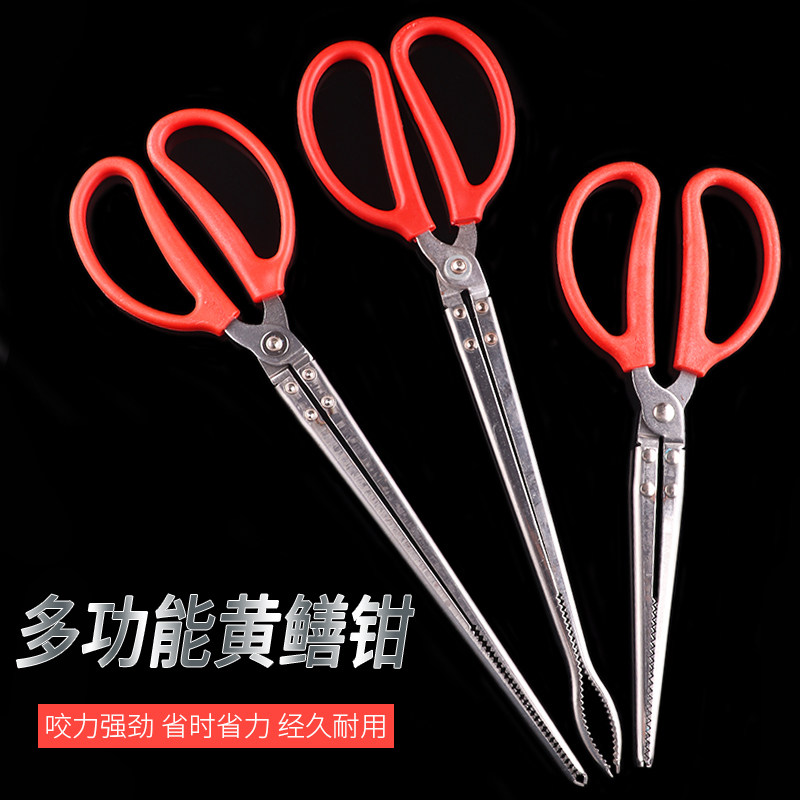 速发黄鳅夹子不锈钢防滑夹泥鳝黄善神蟹装备用具抓螃器钳子赶海工