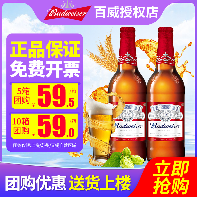 Budweiser/百威啤酒580ml*12瓶整2箱包邮玻璃瓶装原汁麦送货上楼 酒类 啤酒 原图主图