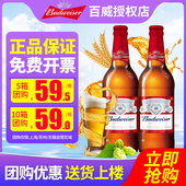 玻璃瓶装 Budweiser 包邮 12瓶整2箱 原汁麦送货上楼 百威啤酒580ml