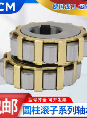 进口PCM减速机偏心轴承22UZ21113-17 22UZ21121 22UZ21123 T2 PX1