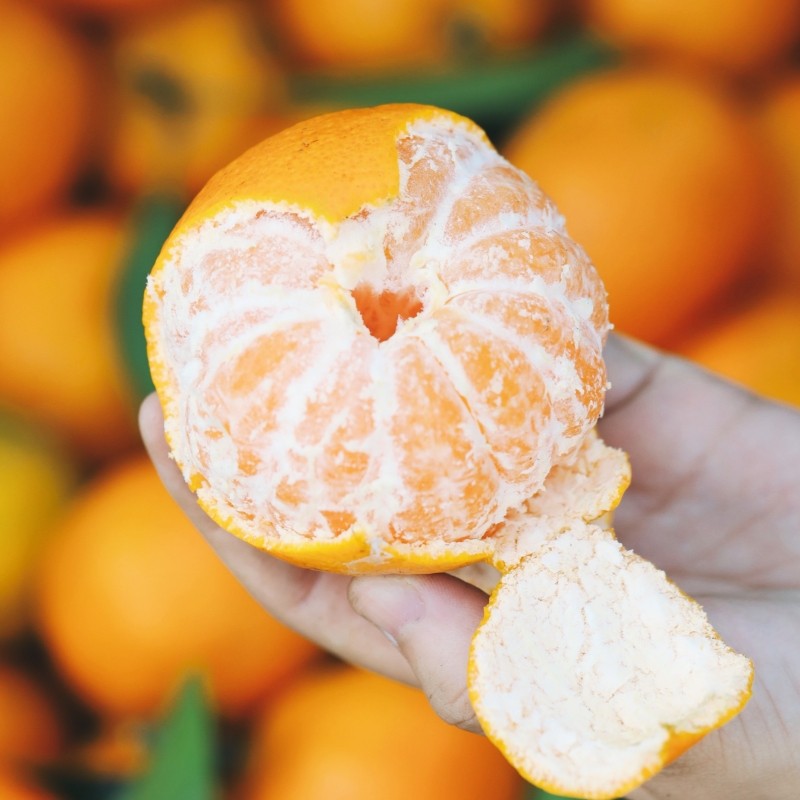 梁平福柑正宗椪柑整箱5斤净重庆超甜新鲜大雅柑橘桔子丑桔子水果,水产肉类/新鲜蔬果/熟食,桔子,淘宝优惠券,粉丝福利购,淘宝优惠卷