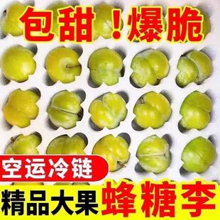 现货正宗贵州六马蜂糖李子新鲜当季水果镇宁蜂蜜李顺丰端午礼盒