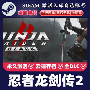 忍者龙剑传2黑之章 Steam CDKey激活码NINJA GAIDEN 2 Black 游戏