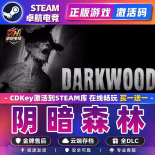 阴暗森林 正版Steam激活码CDKey入库 Darkwood 全DLC生存恐怖游戏