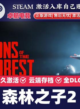 森林之子2 正版Steam激活码CDKey入库 son of forest 全DLC游戏