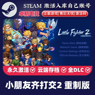 重制版 Fighter 正版 CDKey入库Little Steam激活码 小朋友齐打交2