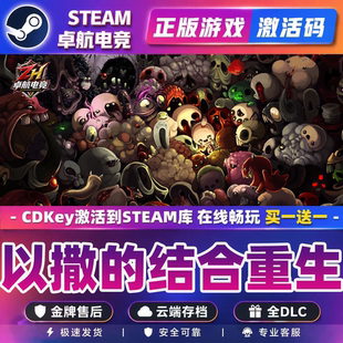 以撒的结合重生正版Steam激活码CDKey入库 全DLC动作类 Rogue游戏