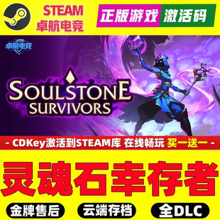 灵魂石幸存者正版Steam激活码CDKey入库Soulstone Survivors全DLC