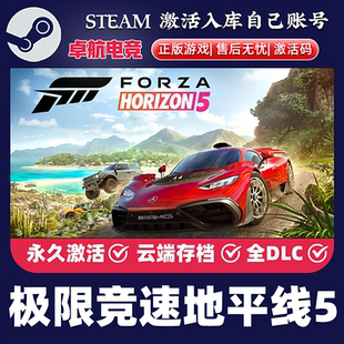 极限竞速地平线5 Forza Horizon steam正版激活码Key入库CDK全DLC