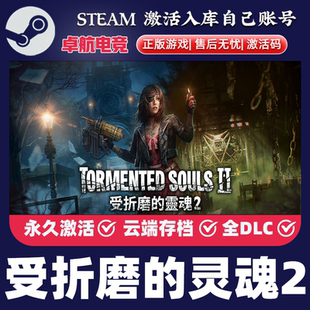 受折磨的灵魂2 正版Steam激活码CDKey入库 全DLC第三人称射击游戏