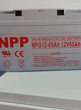 耐普NPG蓄电池 NP12-6512v65ah免维护蓄电池UPS/EPS机房专用