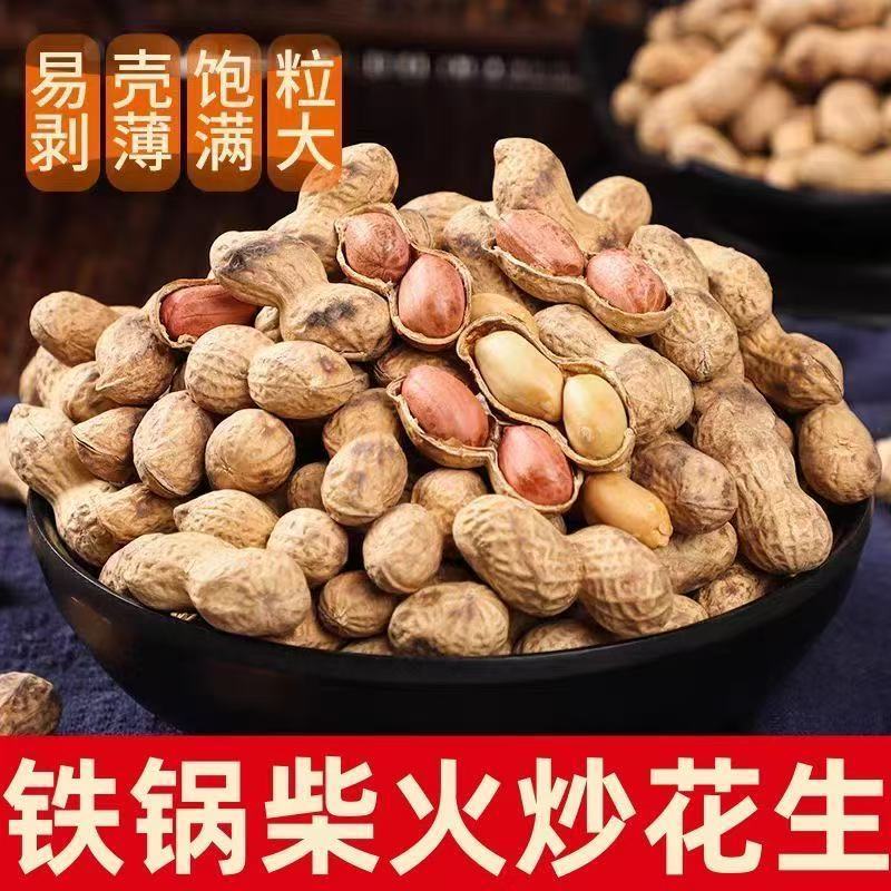 【划算】净重柴火炒花生花生农家新货铁锅带壳无干燥剂炒花生批发