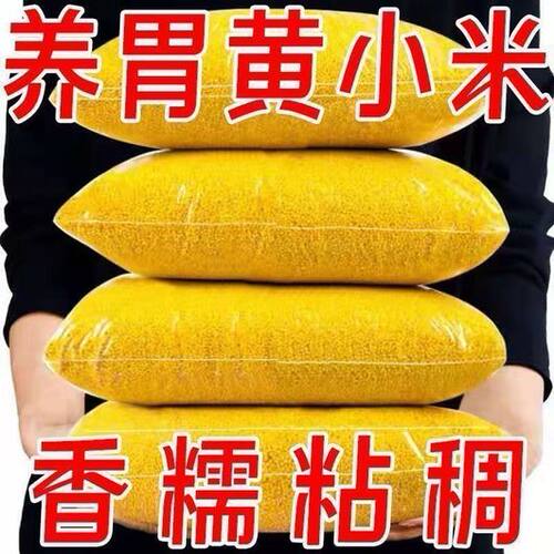 2026新米月子米赤峰农家黄小米