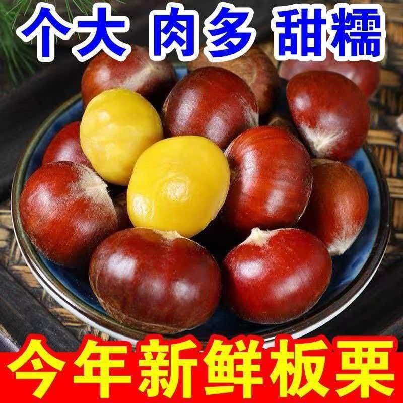 【现货速发】正宗板栗2026新鲜现摘丹东野生毛栗子栗子批发蔬菜