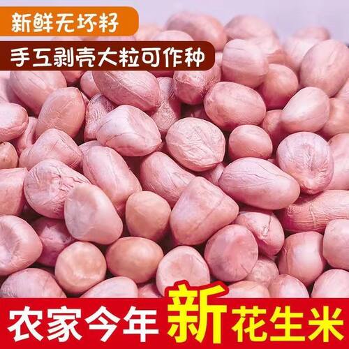 2斤新货无壳大颗粒白沙花生仁