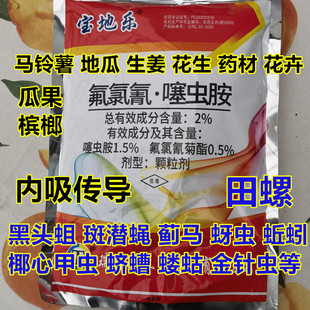 蔬菜苗圃草坪氟氯氰菊酯噻虫胺颗粒地下害虫土蚕蚯蚓蛴螬蔗杀虫药