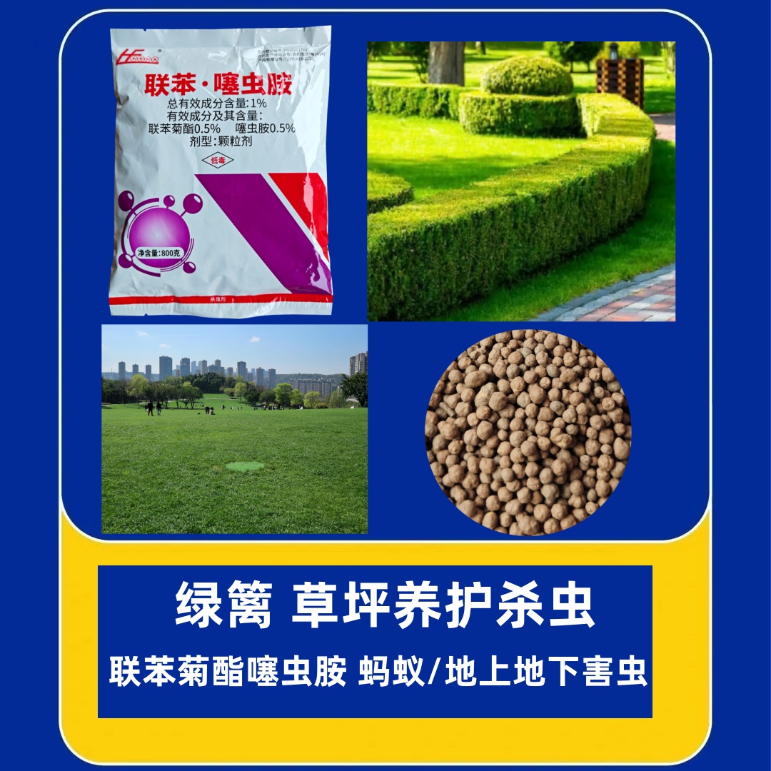 草坪绿篱养护杀蚂蚁白蚁上下虫