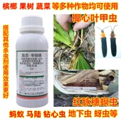 红脉穗螟槟榔椰心甲虫钻心虫蚂蚁马陆辛硫磷敌百虫地下害虫杀虫剂