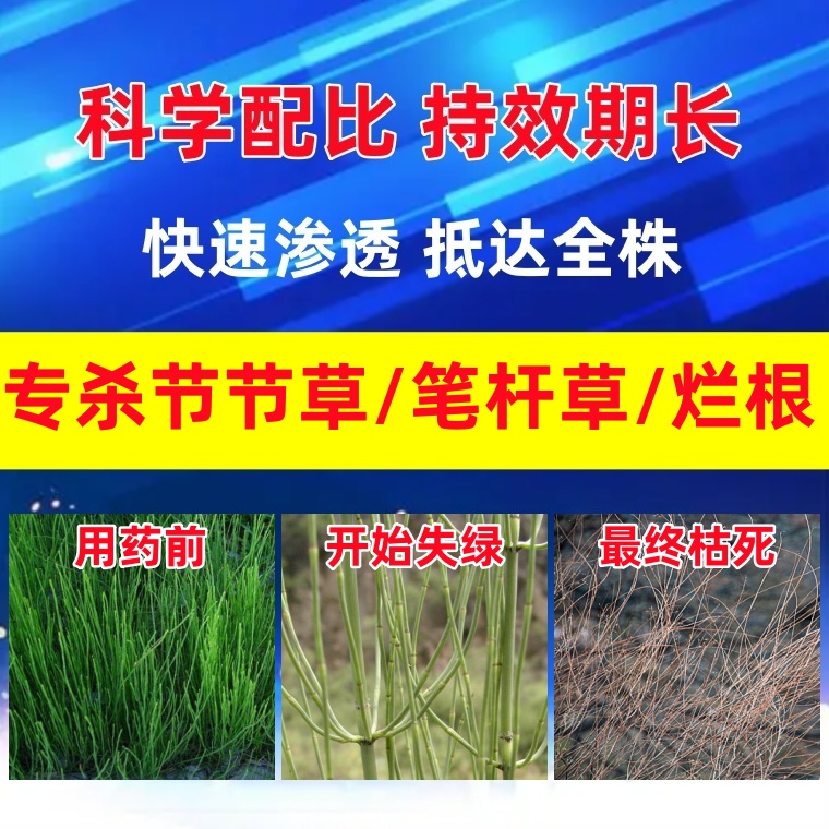 56%2甲4氯钠除草剂阔扫
