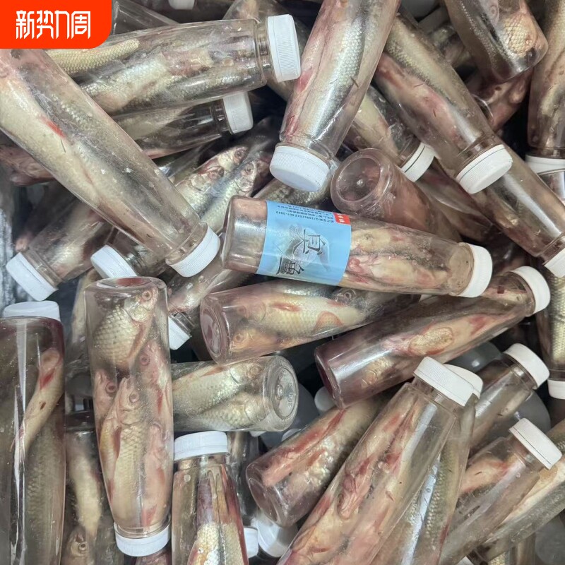 钓鲶鱼的臭鱼江团鱼饵野钓大口鲶胡子鲶塘鲺腥臭饵料江河湖库可用