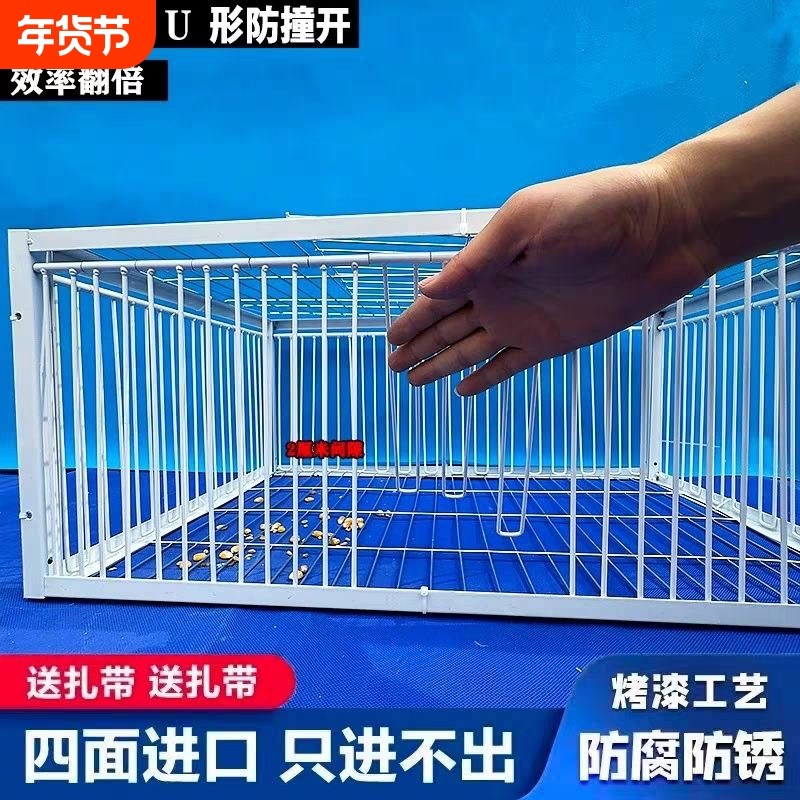 户外捕鸡神器全自动天落笼四面撞门只进不出养鸽笼鸟笼收抓加密网