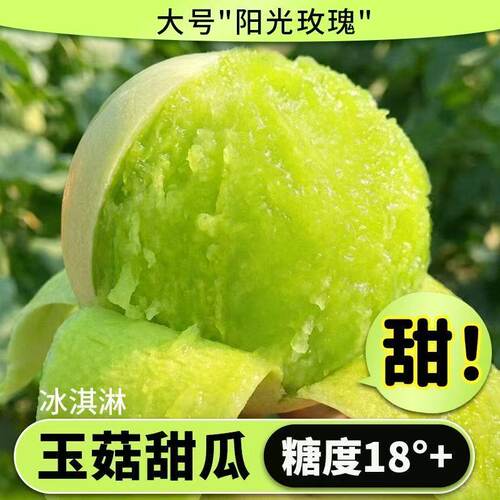 正宗山东玉菇甜瓜新鲜瓜冰激凌奶香糯蜜瓜应季水果冰淇淋白甜瓜