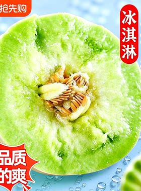 超正宗玉菇甜瓜新鲜水果当季蜜瓜冰淇淋哈脆甜密瓜网纹现摘奶香