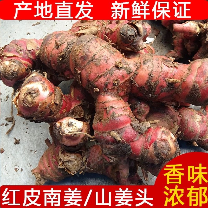 南姜新鲜5斤装 精选正宗南姜牛肉火锅去膻调味调料品