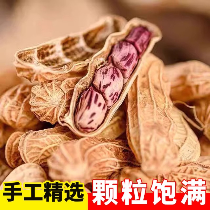 带壳七彩花生米生花生彩色新鲜花皮花生云南特产原味零食自然一斤图片