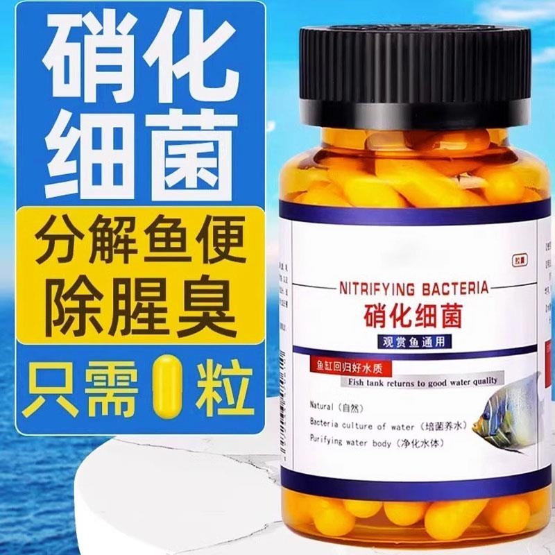 硝化细菌鱼缸专用净水剂胶囊养鱼净化水质消化培养活菌分解鱼粪便