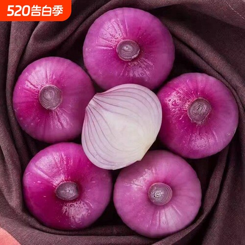 应季新鲜水果洋葱农家现挖