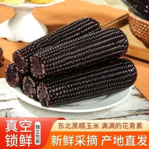 东北黑糯玉米黏甜糯玉米紫玉米代餐真空装加热即食早餐粗粮香甜