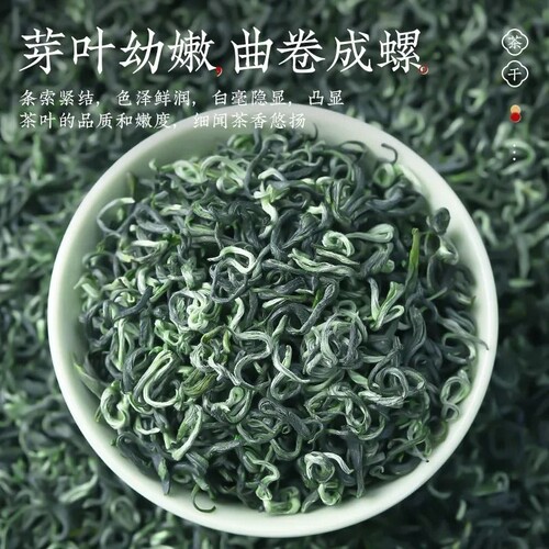 2026新茶明前特级碧螺春绿茶500g
