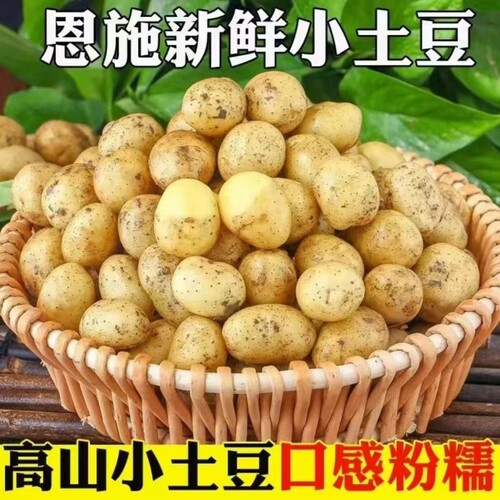 土豆新鲜恩施现挖黄心土豆洋芋农家自种蔬菜马铃薯960g/5/9斤批发