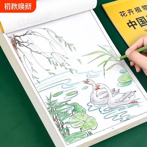 初学者花鸟描摹本|超5000次加购