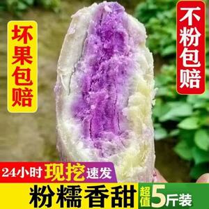 冰淇淋红薯农家现挖冰淇淋红薯番薯一点红红薯花心红薯板栗薯