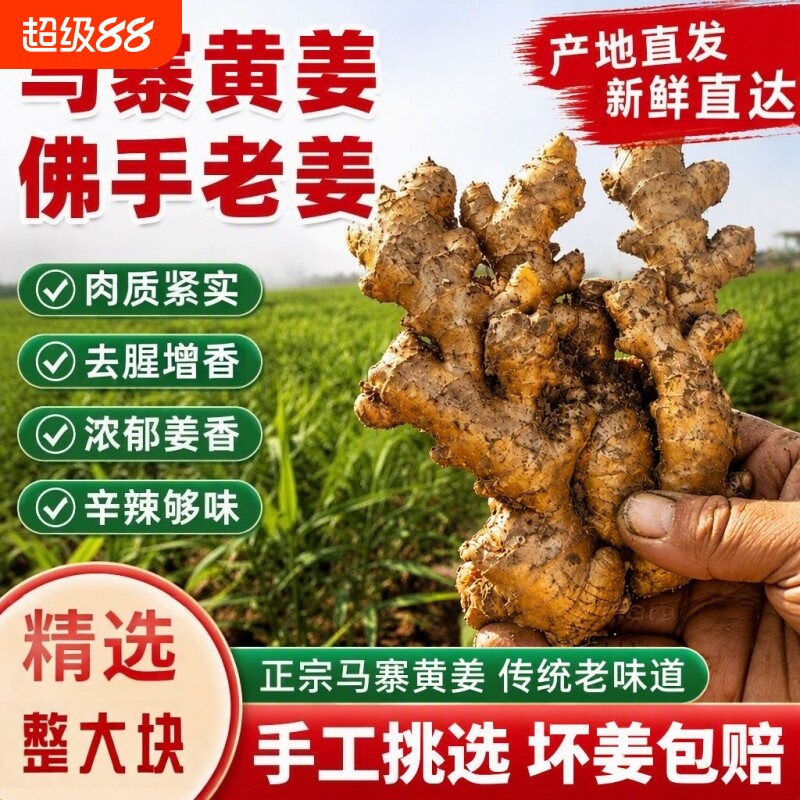 生姜老姜正宗马寨佛手小黄姜食用土姜农家自种现挖带泥新鲜蔬菜