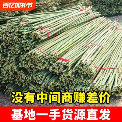 竹竿子搭架菜园豆角架黄瓜架西红柿蔬菜植物支架杆爬藤架旗杆栅栏