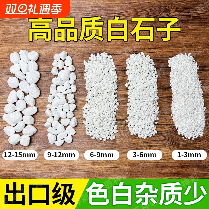 小白石子铺面石白石头庭院造景原石鹅卵石雨花石盆栽鱼缸底砂多肉
