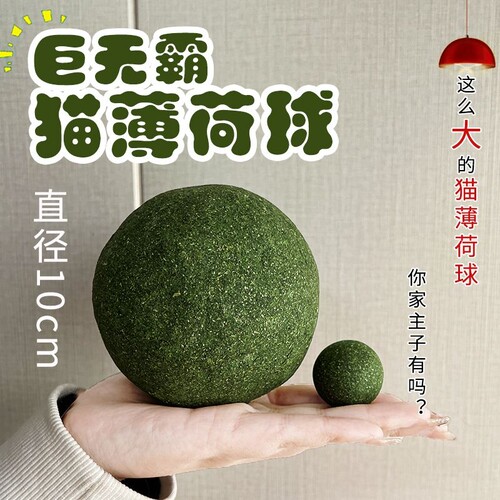 猫咪玩具舔舔乐超大号猫薄荷球10cm猫咪可食用虫瘿果磨牙洁齿猫草