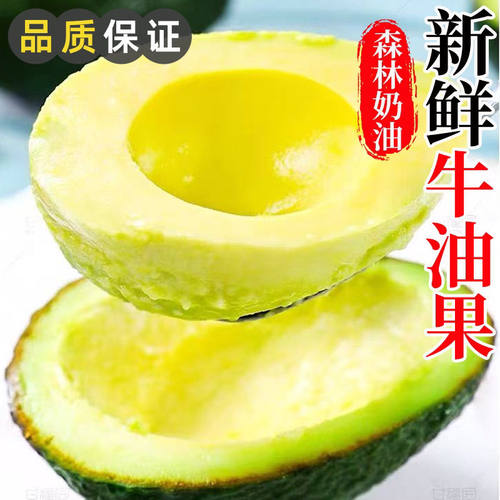 深林奶油云南正宗哈斯牛油果新鲜应季水果当季丝滑细腻高山种植