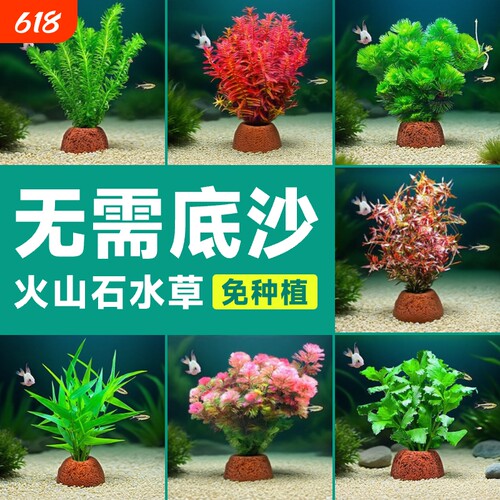 火山石水草鱼缸造景|回购1.5万次