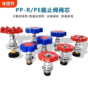 PPR截止阀PE阀芯全铜阀门芯水管管材46分加厚开关25闸阀水暖配件