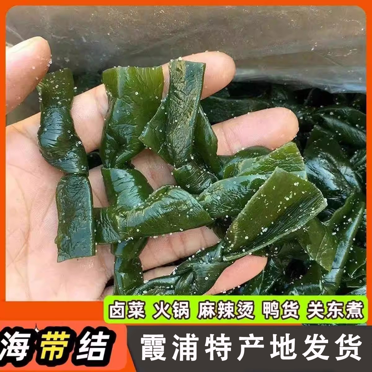 霞浦盐渍海带结5斤整箱商用海带扣特产干货新鲜厚海带丝凉拌