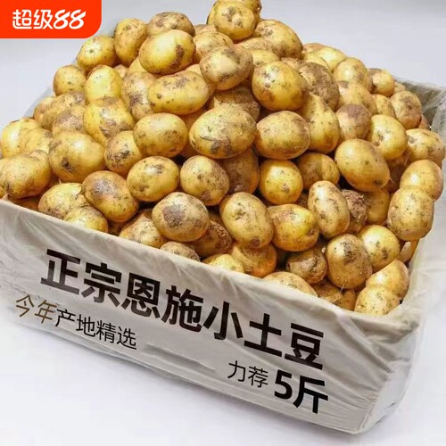 正宗恩施小土豆现挖新鲜