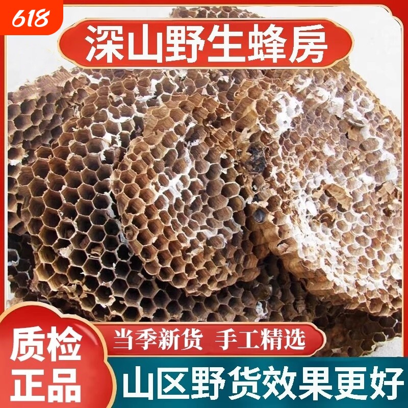 天然纯野生正品野蜂窝马蜂窝露蜂房黄蜂窝山蜂房老蜂巢中药材蜜蜂