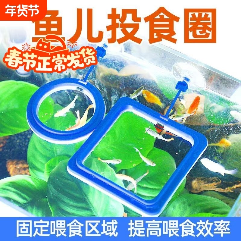 鱼缸喂食器防飘散漂浮悬浮喂食圈投食器投食圈鱼食投喂器喂鱼固定,宠物/宠物食品及用品,喂食器,淘宝优惠券,粉丝福利购,淘宝优惠卷