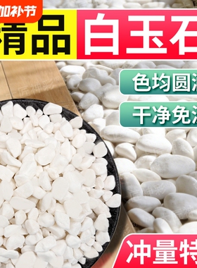 鹅卵石小白石子雨花石庭院造景多肉铺面水培白色石头子鱼缸原石