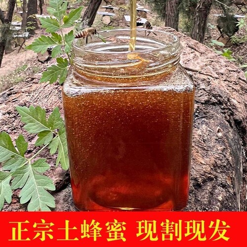 浪浪花海深山百花蜜现割现发